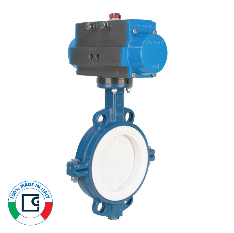 Butterfly Valves
